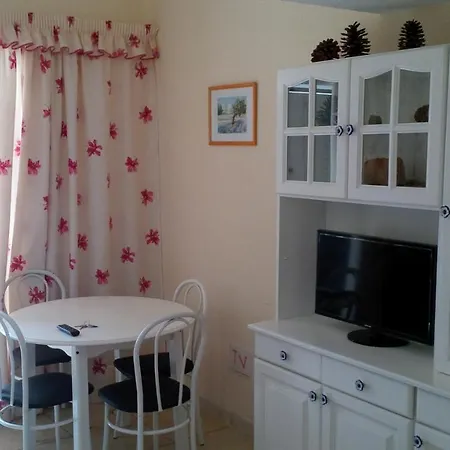 公寓 Great Beachside Duplex In Playa De Americas *